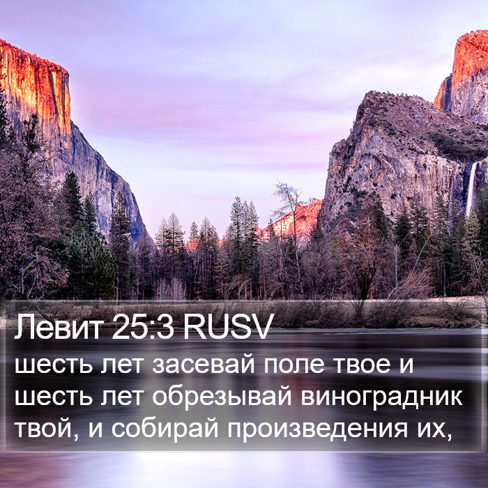 Левит 25:3 RUSV Bible Study