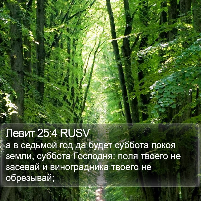 Левит 25:4 RUSV Bible Study