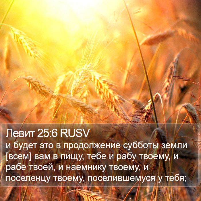 Левит 25:6 RUSV Bible Study