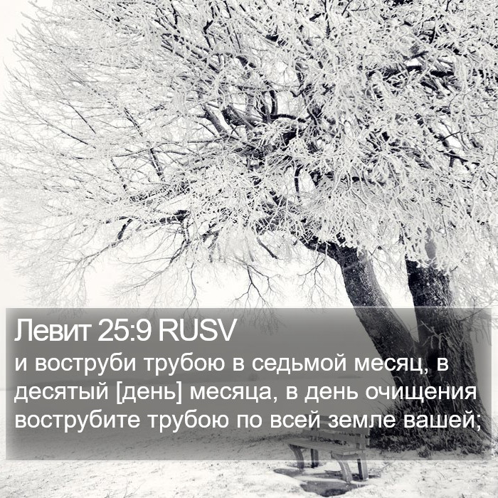 Левит 25:9 RUSV Bible Study