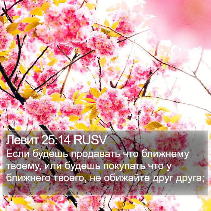 Левит 25:14 RUSV Bible Study