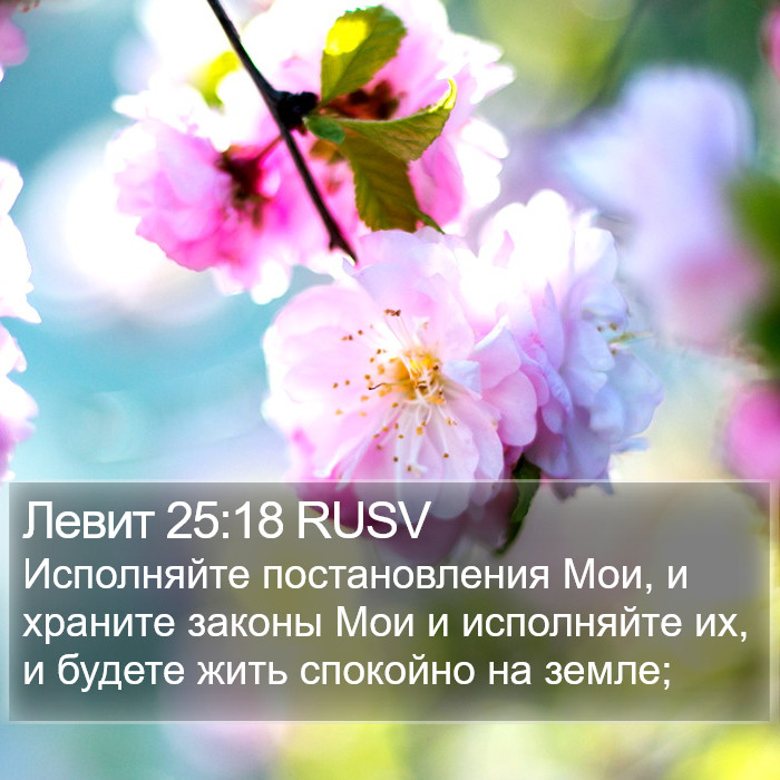 Левит 25:18 RUSV Bible Study