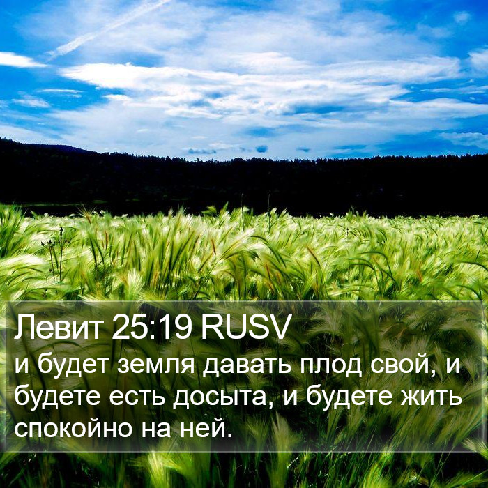 Левит 25:19 RUSV Bible Study