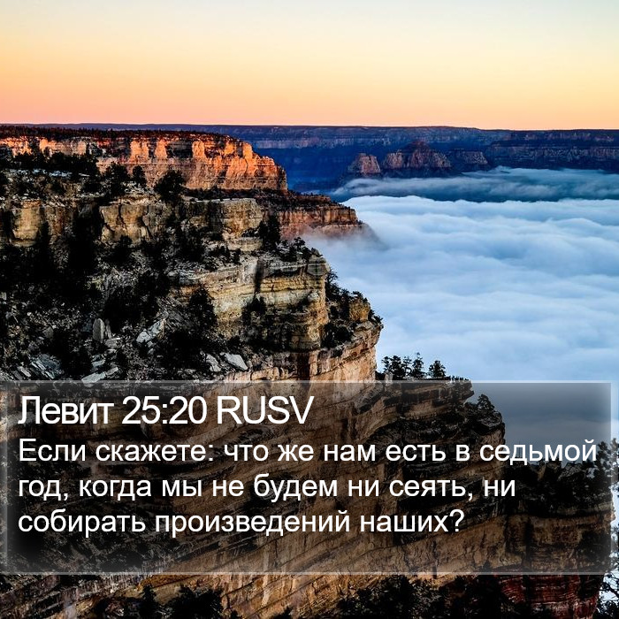 Левит 25:20 RUSV Bible Study