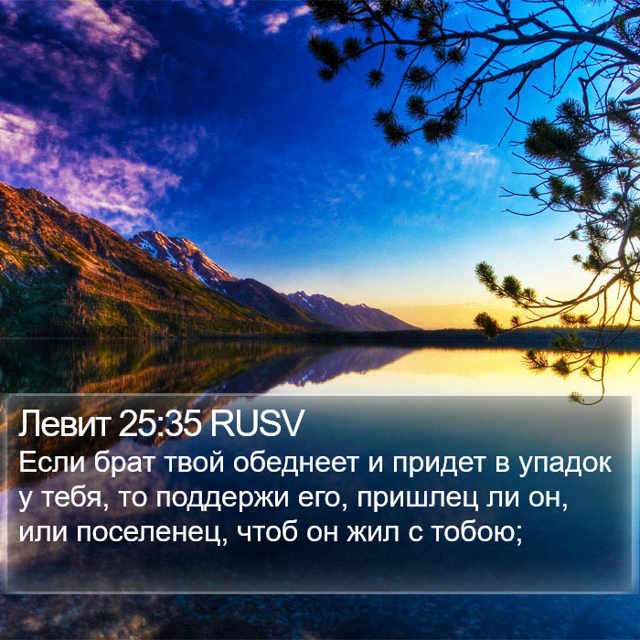 Левит 25:35 RUSV Bible Study