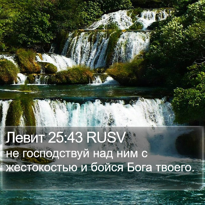 Левит 25:43 RUSV Bible Study