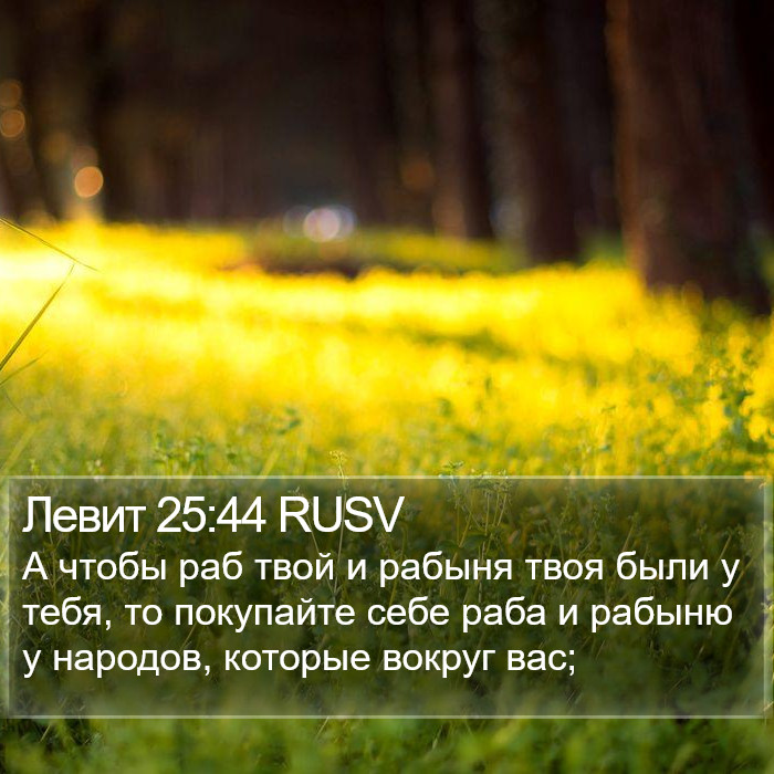 Левит 25:44 RUSV Bible Study