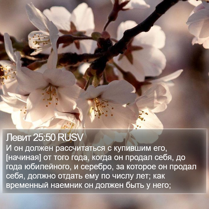 Левит 25:50 RUSV Bible Study