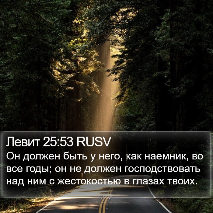 Левит 25:53 RUSV Bible Study