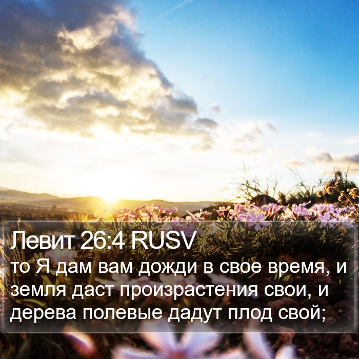 Левит 26:4 RUSV Bible Study