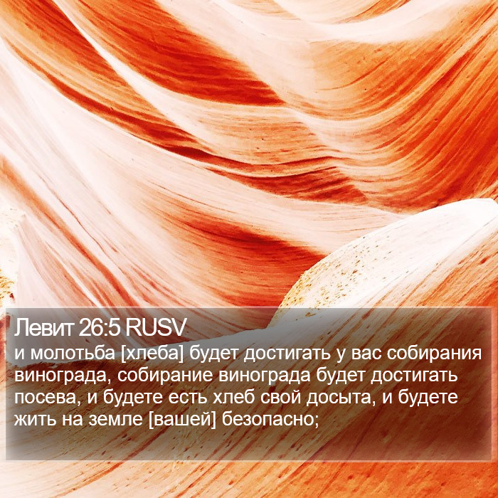 Левит 26:5 RUSV Bible Study