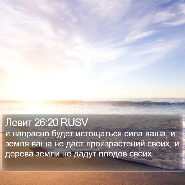 Левит 26:20 RUSV Bible Study