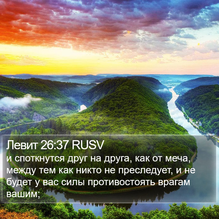 Левит 26:37 RUSV Bible Study