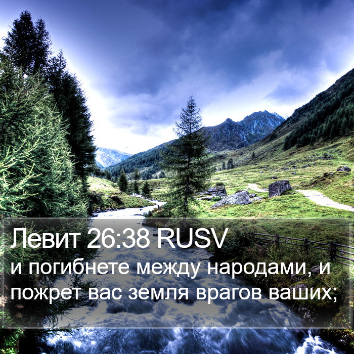 Левит 26:38 RUSV Bible Study