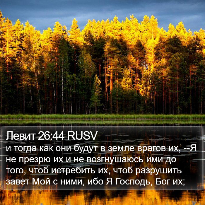 Левит 26:44 RUSV Bible Study