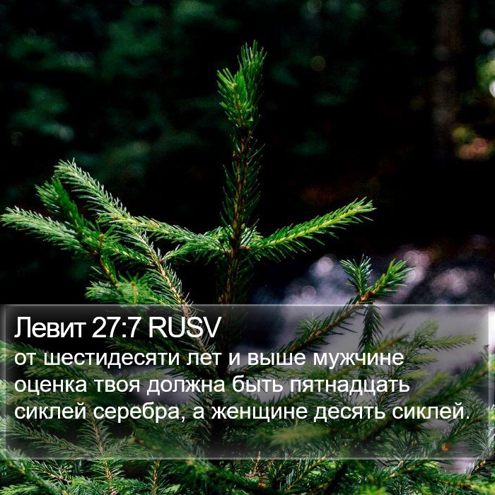 Левит 27:7 RUSV Bible Study