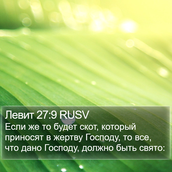 Левит 27:9 RUSV Bible Study