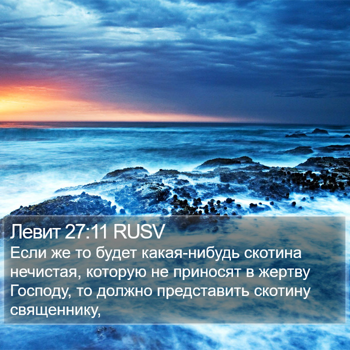 Левит 27:11 RUSV Bible Study