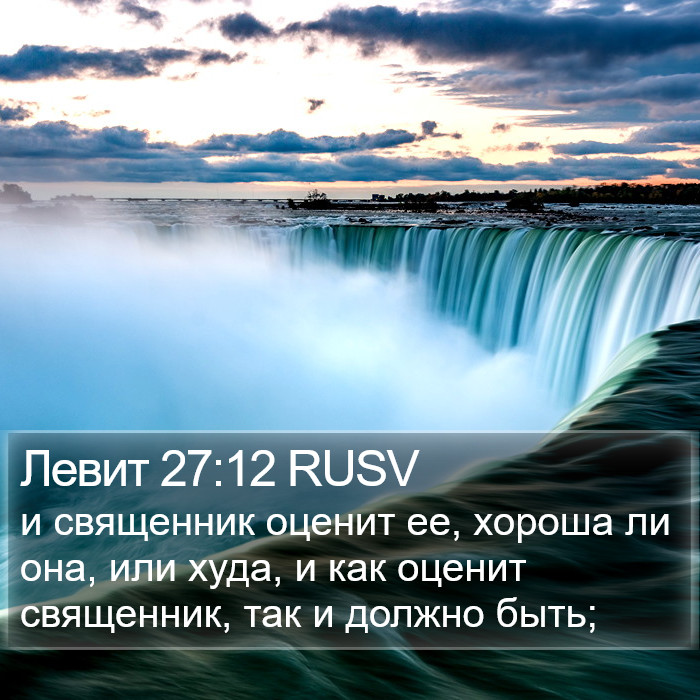 Левит 27:12 RUSV Bible Study