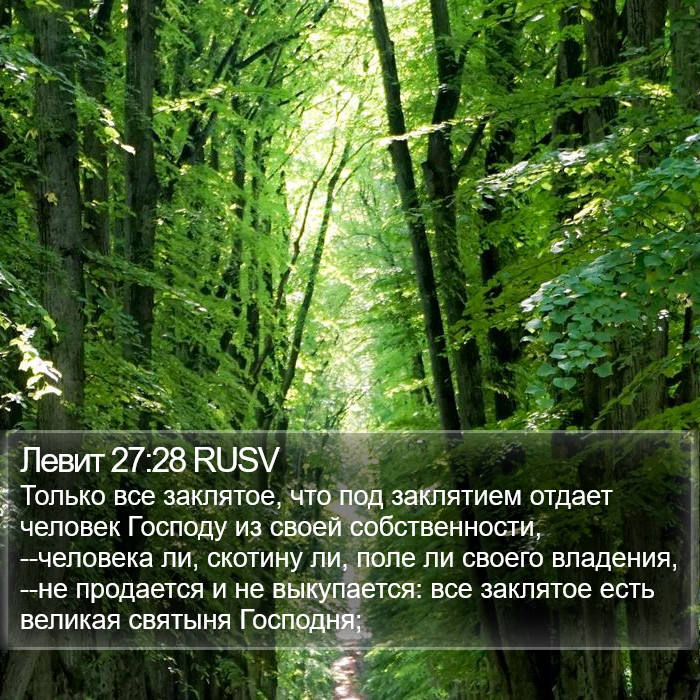 Левит 27:28 RUSV Bible Study