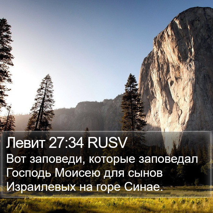 Левит 27:34 RUSV Bible Study