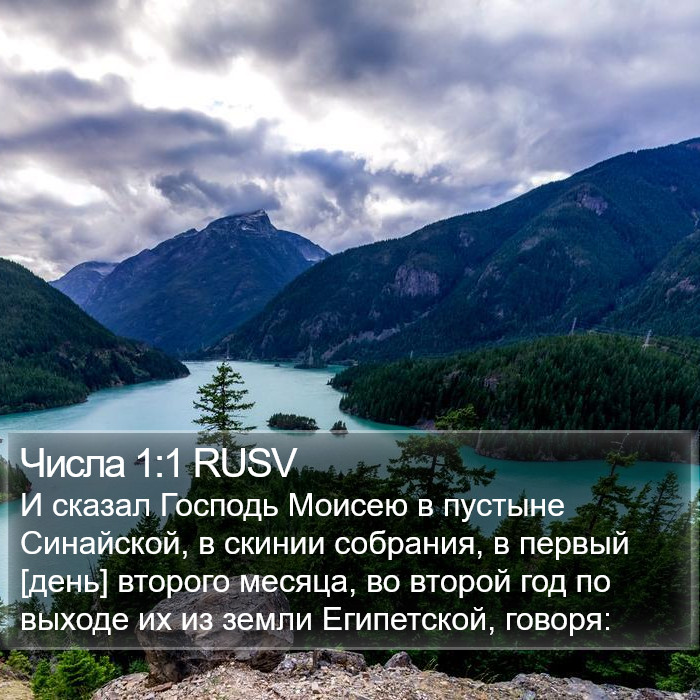 Числа 1:1 RUSV Bible Study