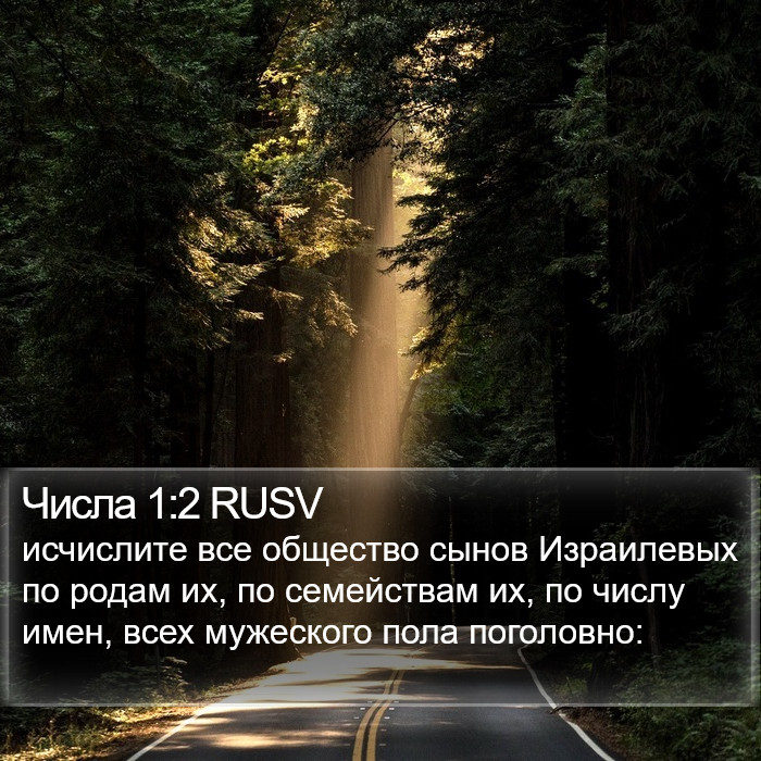 Числа 1:2 RUSV Bible Study