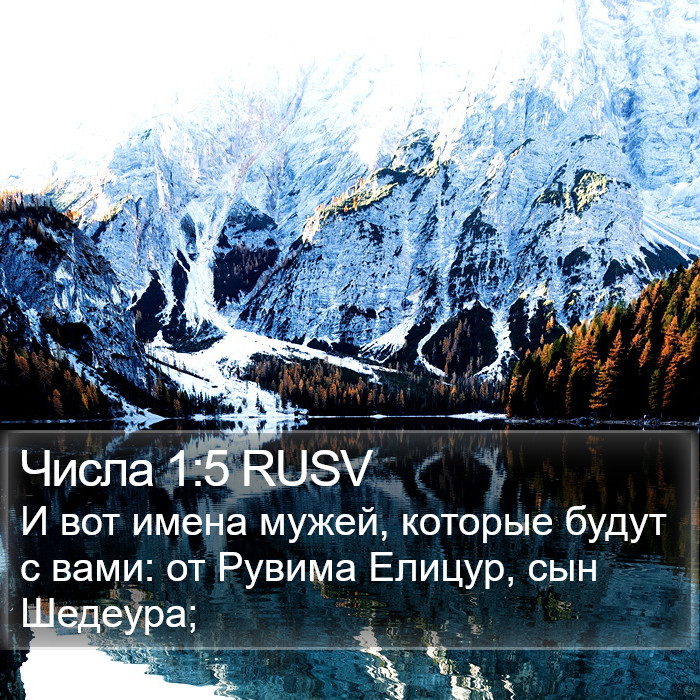 Числа 1:5 RUSV Bible Study