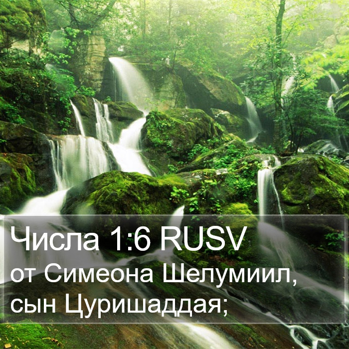 Числа 1:6 RUSV Bible Study