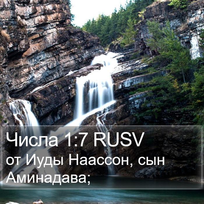 Числа 1:7 RUSV Bible Study