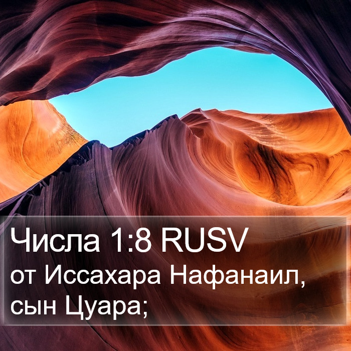 Числа 1:8 RUSV Bible Study