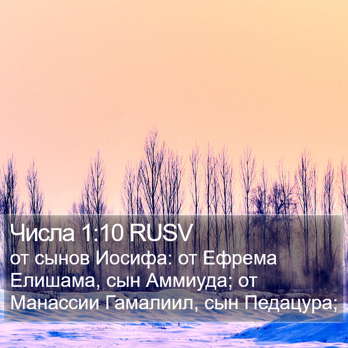 Числа 1:10 RUSV Bible Study