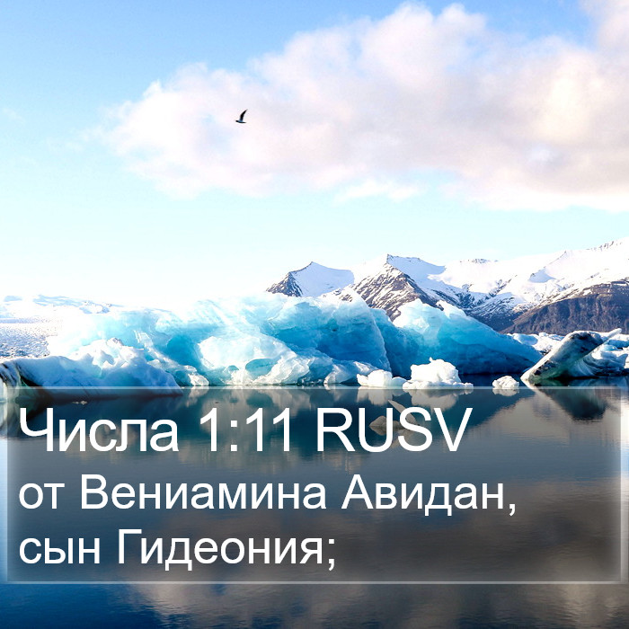 Числа 1:11 RUSV Bible Study