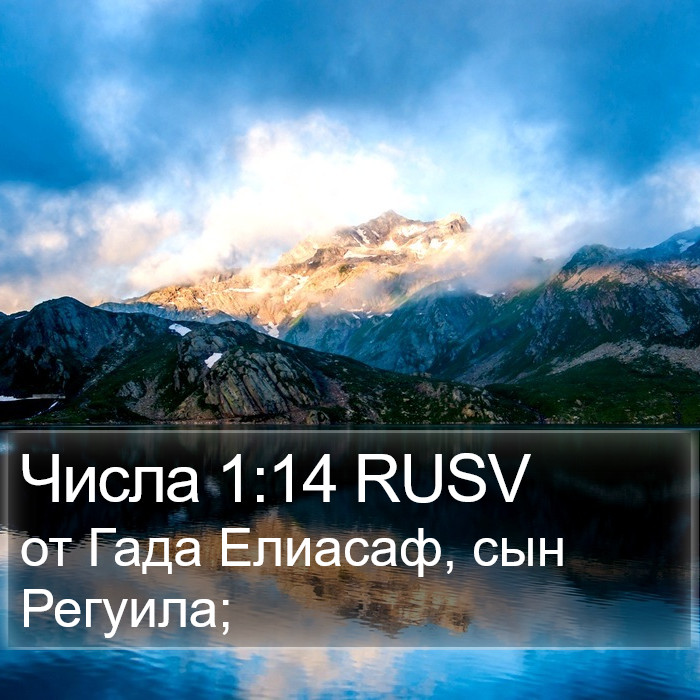 Числа 1:14 RUSV Bible Study