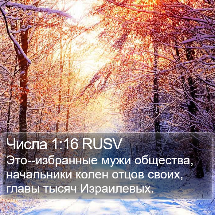 Числа 1:16 RUSV Bible Study