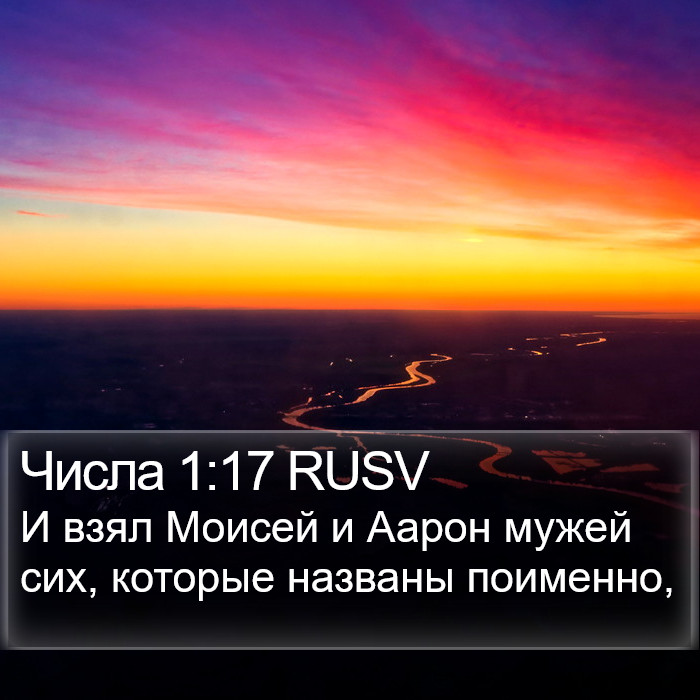 Числа 1:17 RUSV Bible Study