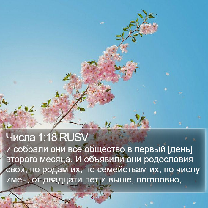 Числа 1:18 RUSV Bible Study