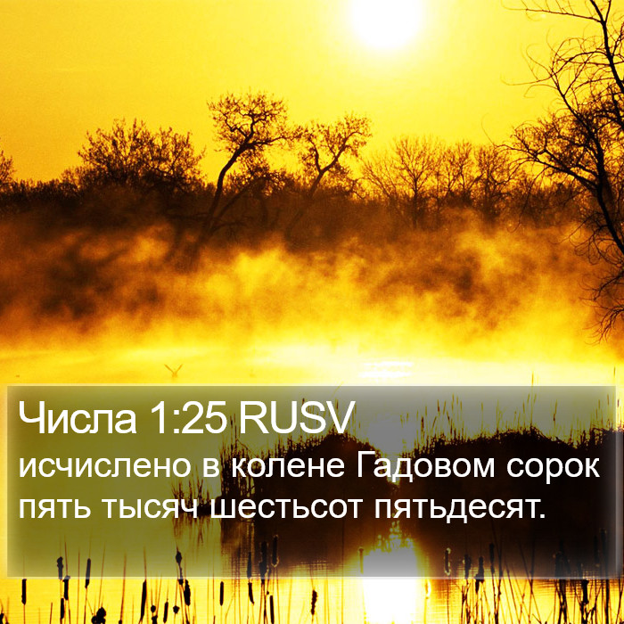 Числа 1:25 RUSV Bible Study