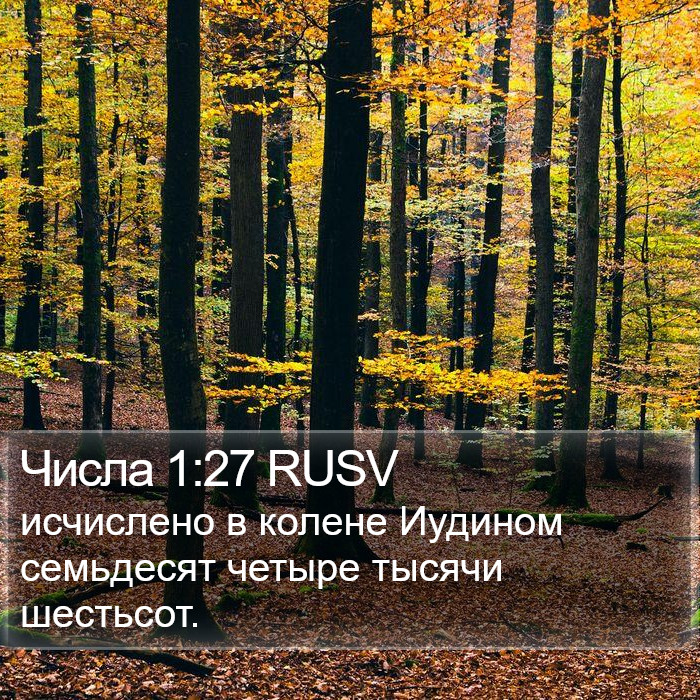 Числа 1:27 RUSV Bible Study