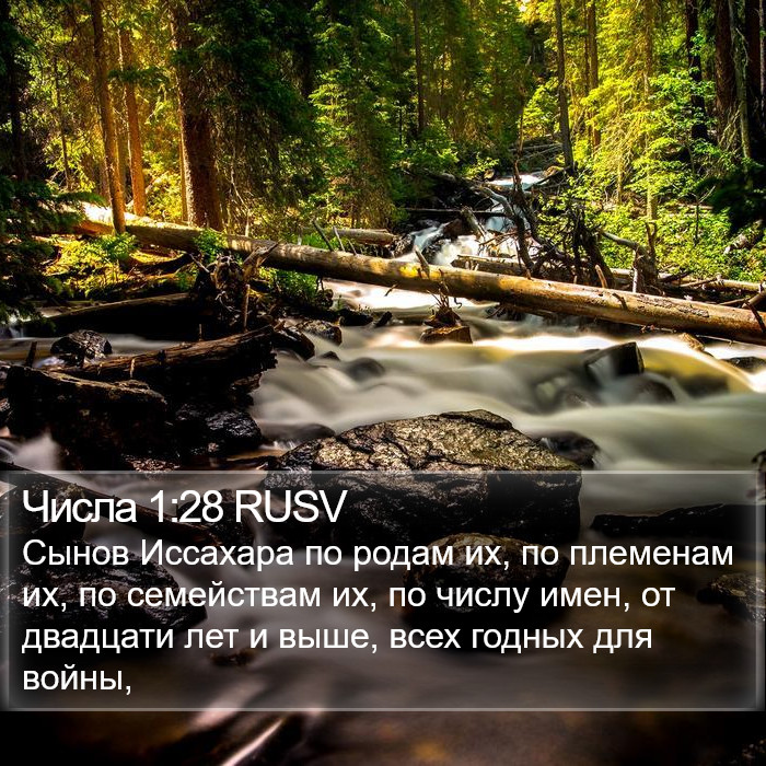 Числа 1:28 RUSV Bible Study