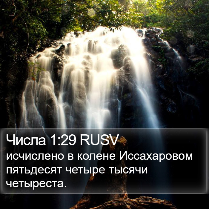 Числа 1:29 RUSV Bible Study