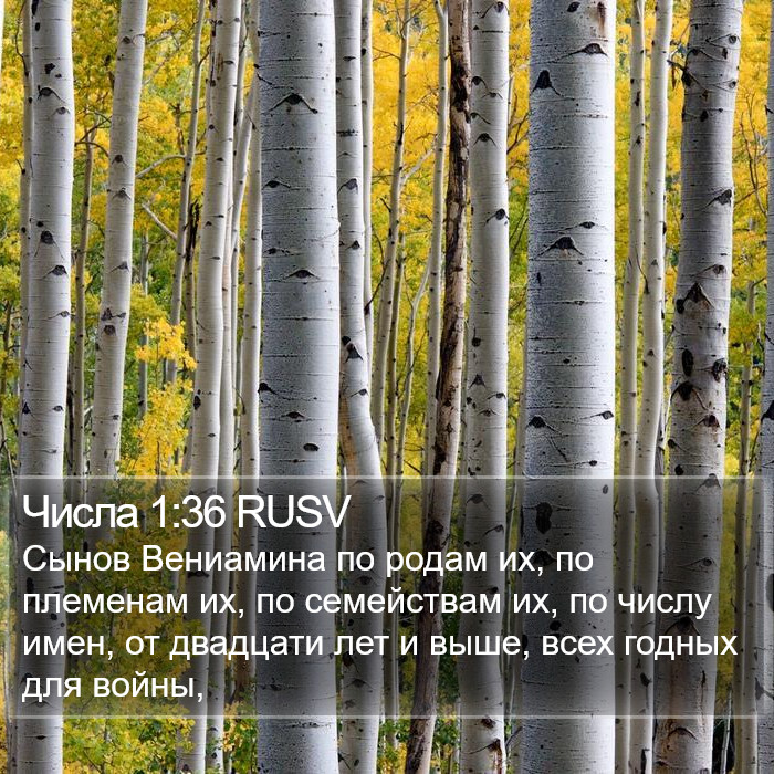 Числа 1:36 RUSV Bible Study