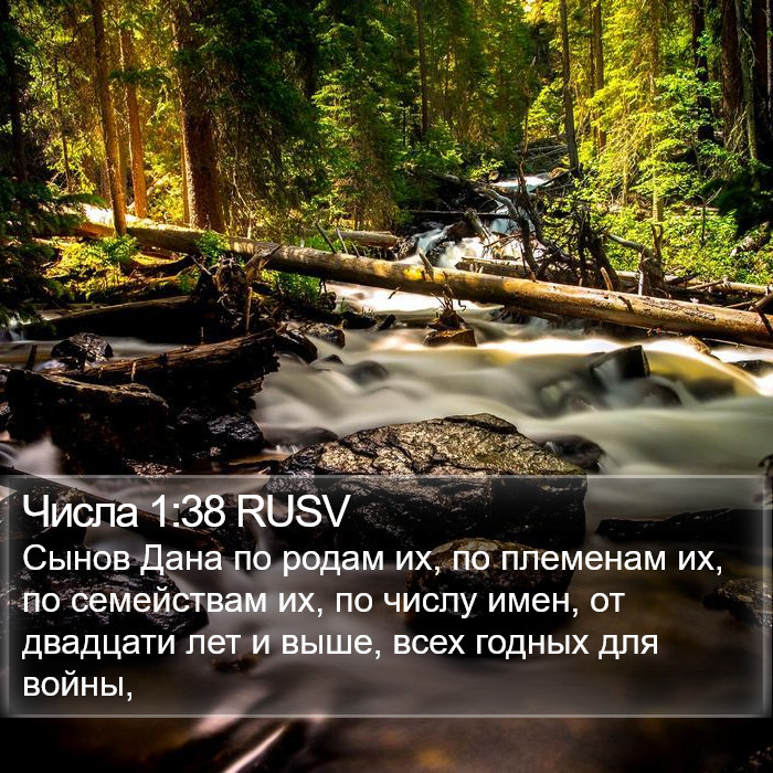 Числа 1:38 RUSV Bible Study