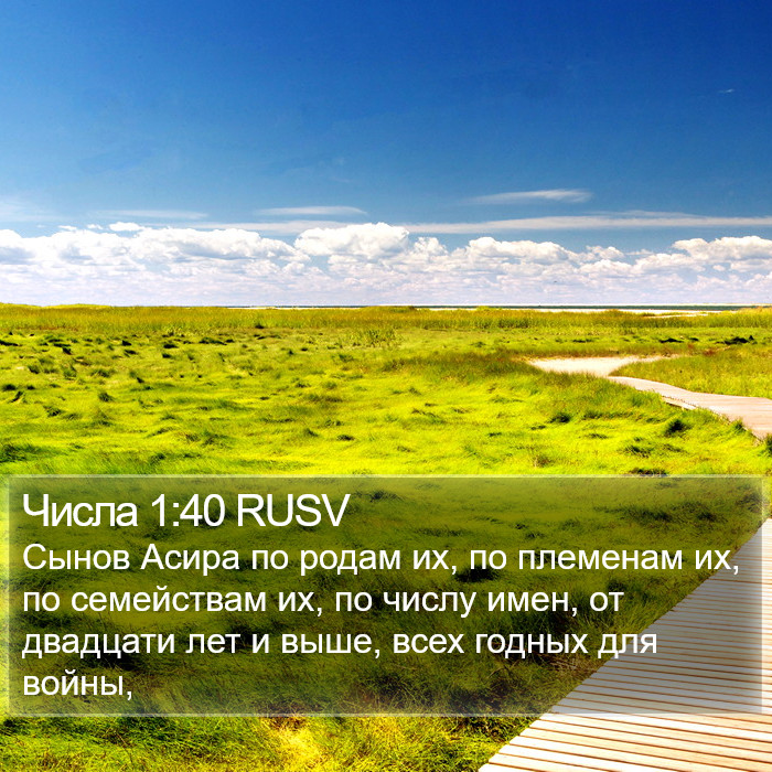 Числа 1:40 RUSV Bible Study