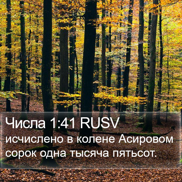 Числа 1:41 RUSV Bible Study