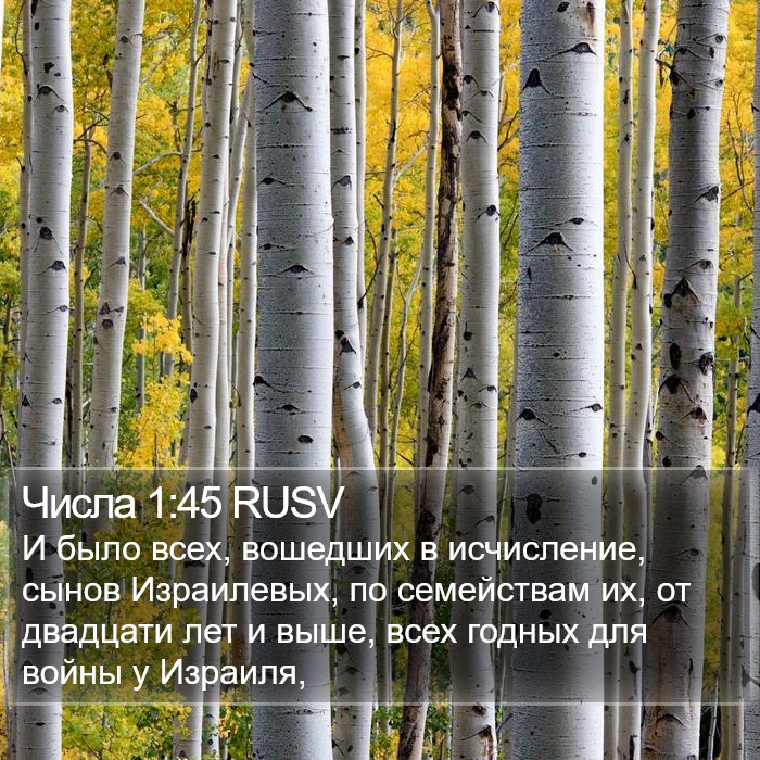 Числа 1:45 RUSV Bible Study