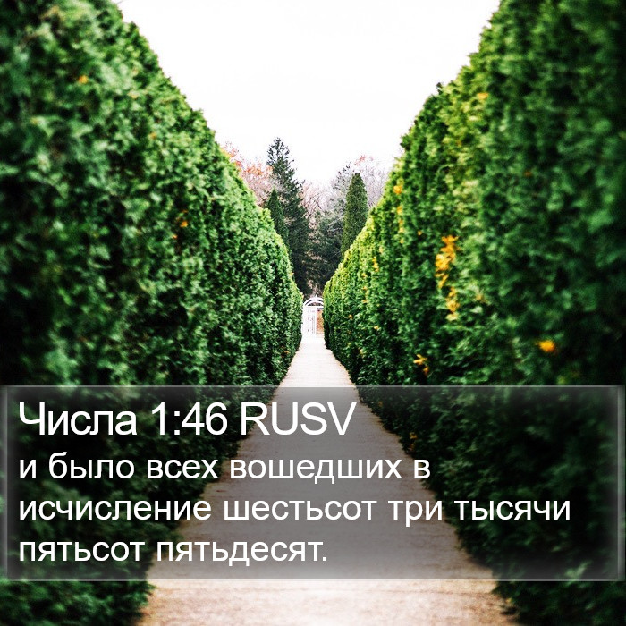 Числа 1:46 RUSV Bible Study