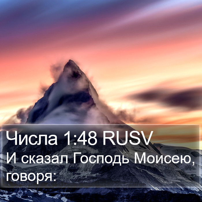 Числа 1:48 RUSV Bible Study