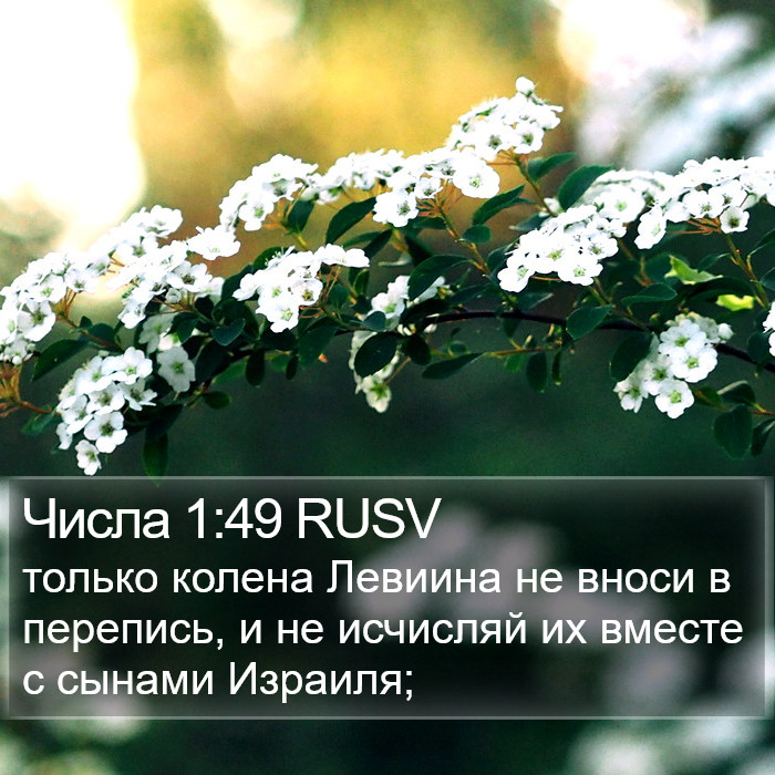 Числа 1:49 RUSV Bible Study