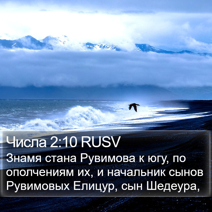 Числа 2:10 RUSV Bible Study